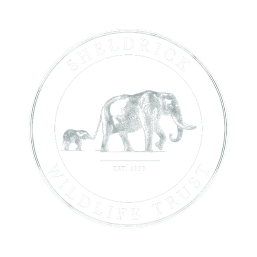 Shledrick WIldlife Trust 1977